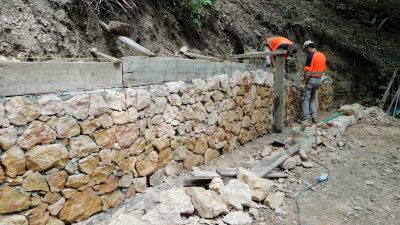 FORESTA DEMANIALE DI GIAZZA: LAVORI IN CORSO SUL VERSANTE VICENTINO