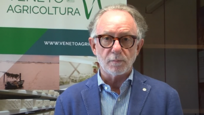 Previsioni vendemmiali 2020 – Alberto Negro