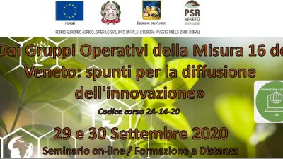 Dai Gruppi Operativi della Misura 16 del Veneto: spunti per la diffusione dell’innovazione