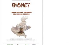 L’agricoltura patavina nel secolo scorso