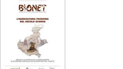 L’agricoltura patavina nel secolo scorso