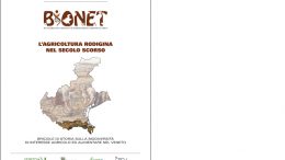 L’agricoltura rodigina nel secolo scorso
