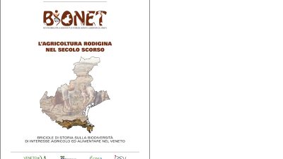 L’agricoltura rodigina nel secolo scorso
