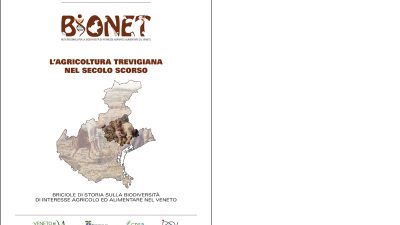 L’agricoltura trevigiana nel secolo scorso