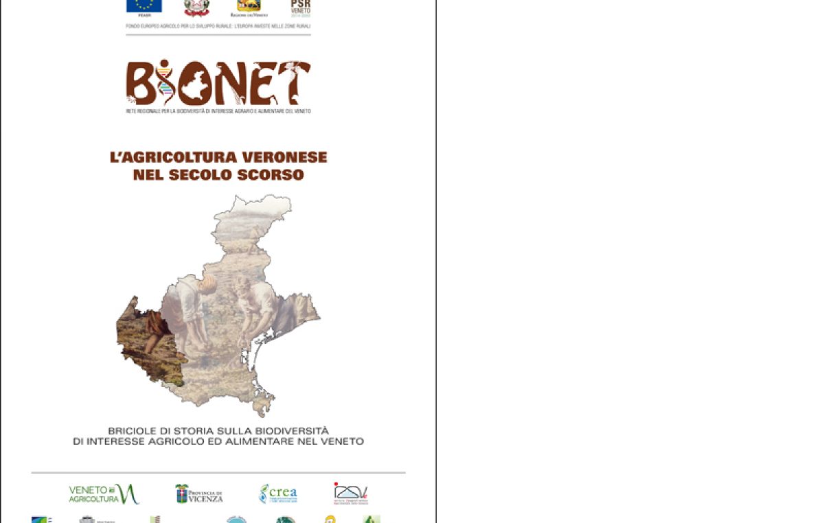 L’agricoltura veronese nel secolo scorso