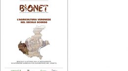 L’agricoltura veronese nel secolo scorso