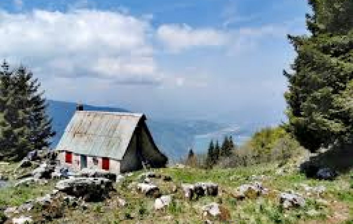 ARRIVANO GLI UCCELLI MIGRATORI: APPASSIONATI SUL MONTE PIZZOC (TV)