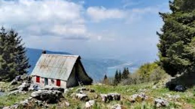 ARRIVANO GLI UCCELLI MIGRATORI: APPASSIONATI SUL MONTE PIZZOC (TV)