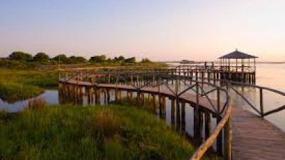 PROGETTO VATICANO GIARDINO LAUDATO SI’: PRIMA REALIZZAZIONE NEL DELTA DEL PO, A ROSOLINA RO