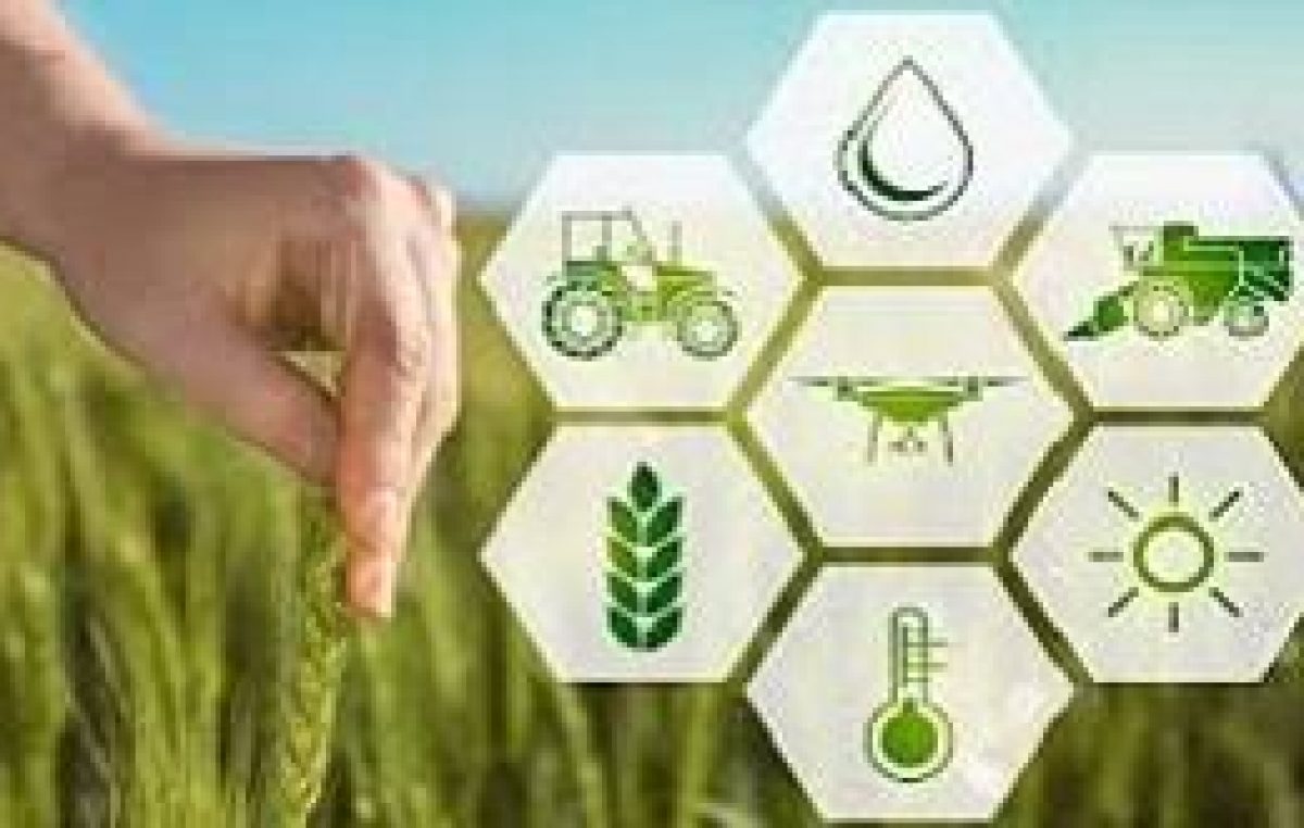 QUALE AGRICOLTURA DOPO IL LOCKDOWN? IL FUTURO (VERDE) PRESENTATO DA VENETO AGRICOLTURA