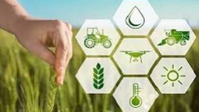 QUALE AGRICOLTURA DOPO IL LOCKDOWN? IL FUTURO (VERDE) PRESENTATO DA VENETO AGRICOLTURA