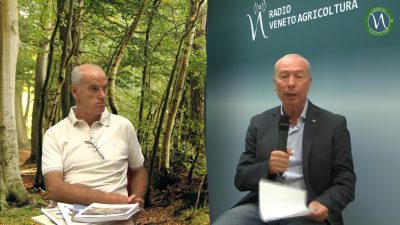 Presentazione RAF, Rapporto 2020 sullo stato delle Foreste Venete