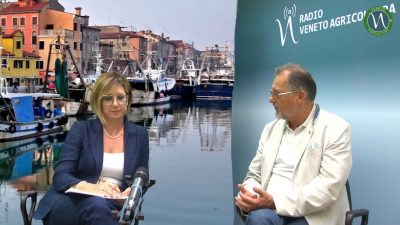 Fermo pesca e futuro delle marinerie nell’alto adriatico