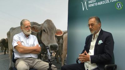 Il Festival dell’Agricoltura fino al 29 Settembre a Bressanvido VI, il programma