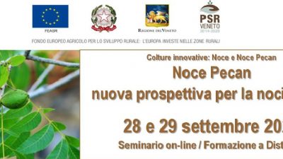 Colture innovative: noce e noce pecan