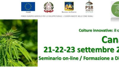Colture innovative: il caso della canapa