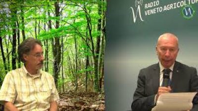 RISORSE GENETICHE E VIVAISMO FORESTALE DOPO LA TEMPESTA VAIA.