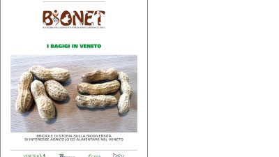 I bagigi in Veneto