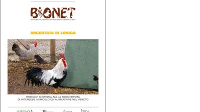 Argentata di Lonigo