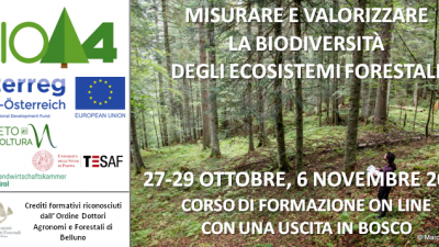 MISURARE E VALORIZZARE LA BIODIVERSITÀ DEGLI ECOSISTEMI FORESTALI