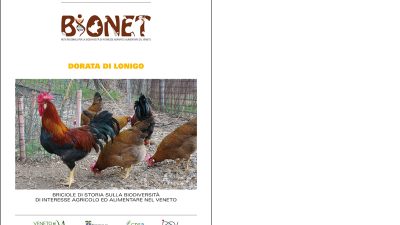 Dorata di Lonigo