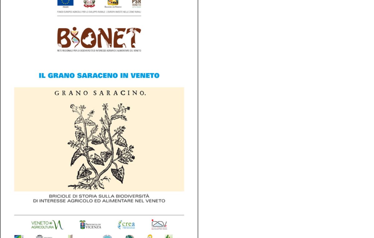 Il grano saraceno in Veneto