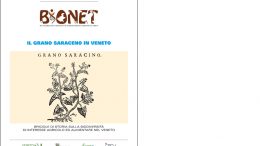 Il grano saraceno in Veneto