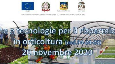 Tecniche e tecnologie per il risparmio idrico in orticoltura