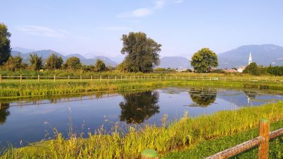 GIAVENALE-SCHIO (VI): UN LAGHETTO PER CONTRASTARE I CAMBIAMENTI CLIMATICI (E NON SOLO)