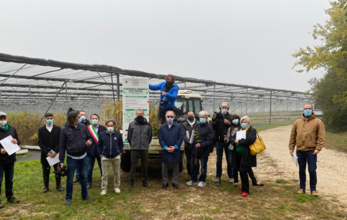 MONTECCHIO PRECALCINO (VI): INIZIATE UFFICIALMENTE OGGI LE CONSEGNE DELLE 70.000 PIANTINE DEL PROGETTO REGIONALE “RIDIAMO UN SORRISO ALLA PIANURA PADANA”