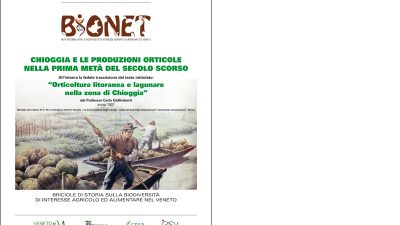 Chioggia e le produzioni orticole nella prima metà del secolo scorso