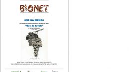 Uve da mensa