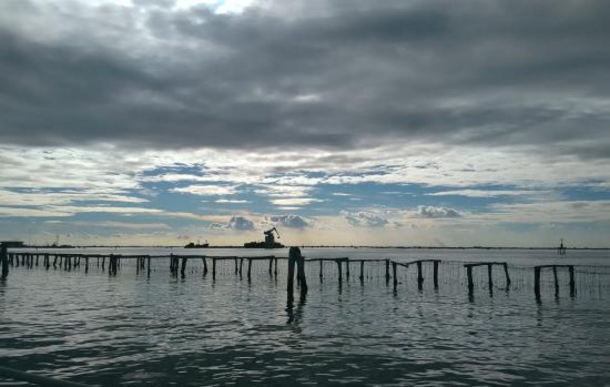 COMPARTO ITTICO VENETO ANCORA IN CHIAROSCURO