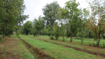 A ROSÀ-TEZZE SUL BRENTA (VI) TRINCEE DRENANTI PER LA MITIGAZIONE DEL RISCHIO IDRAULICO