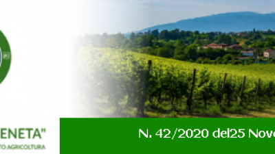“AGRICOLTURA VENETA” N. 42/2020 DEL 25/11/2020