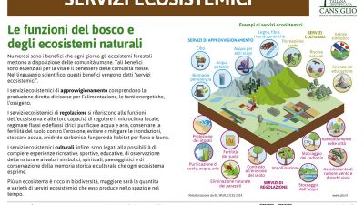 I PANNELLI DELLA BIODIVERSITA’ FORESTALE