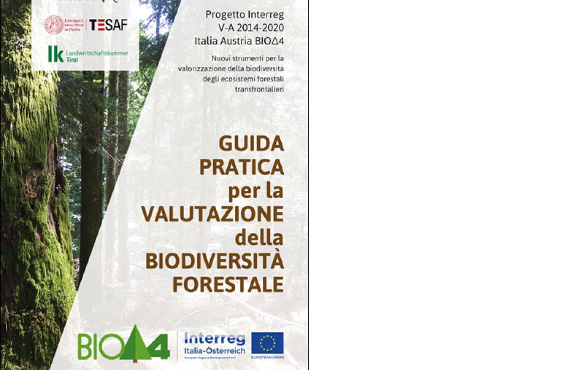 Guida pratica per la valutazione della biodiversità forestale