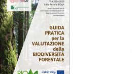 Guida pratica per la valutazione della biodiversità forestale