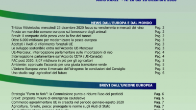 Veneto Agricoltura Europa n. 10/2020