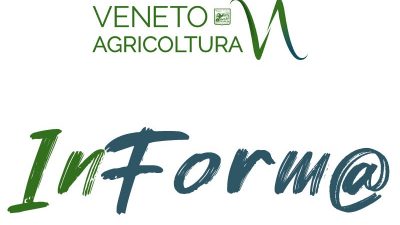 Veneto Agricoltura Inform@ n°19/2020 del 6.11.20