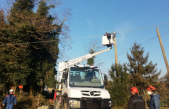 CHIOGGIA-VE: INTERVENTO DI VENETO AGRICOLTURA ED ENEL A BOSCO NORDIO