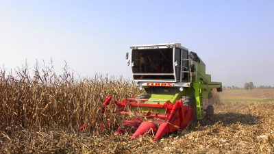 IMPATTO COVID SULL’AGROALIMENTARE VENETO 2020: IN CALO LE IMPRESE…
