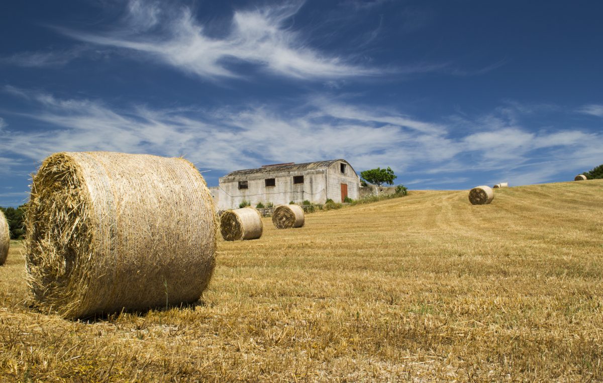 CRISI PANDEMICA, SPIRAGLI PER L’AGROALIMENTARE VENETO