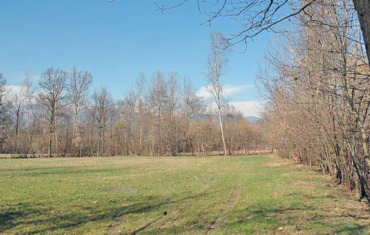 COVID, PALÙ DEL PIAVE (TV), RIPARTE IL PROGETTO “LIFE” DI RECUPERO E RIQUALIFICAZIONE