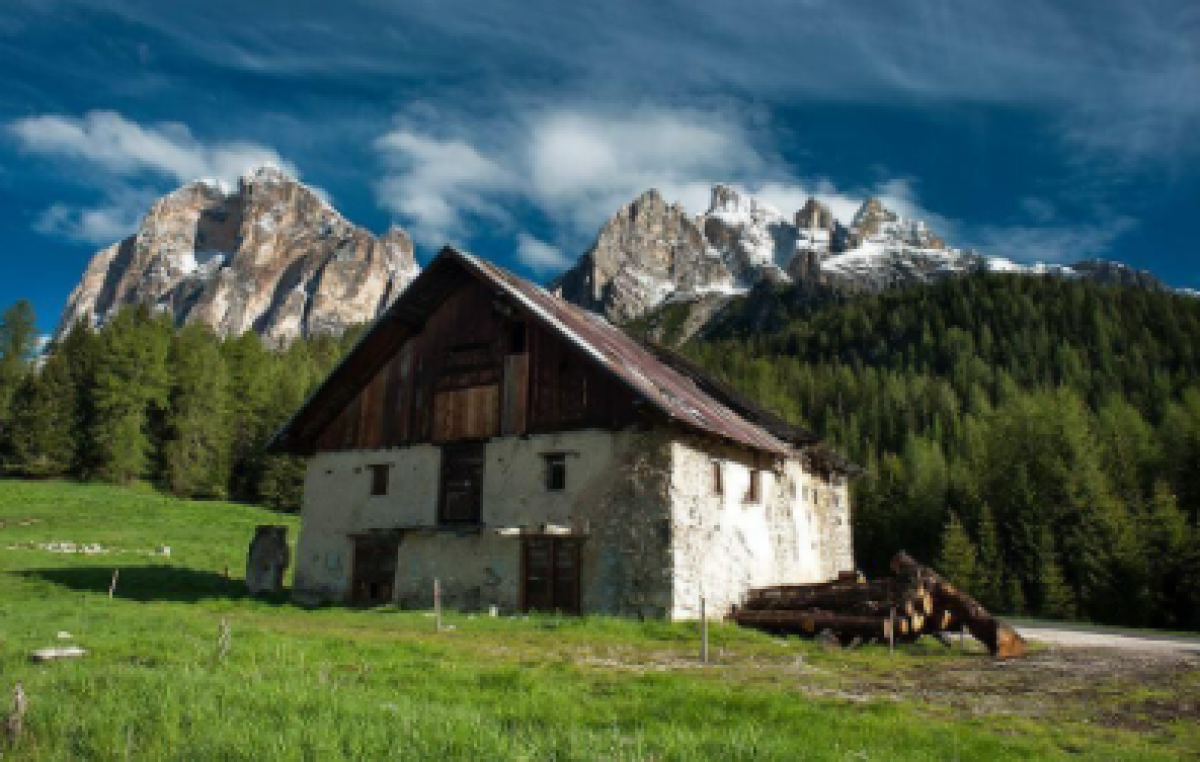 VENETO AGRICOLTURA A SUPPORTO DEI PICCOLI PRODUTTORI CASEARI DELLA PROVINCIA DI BELLUNO