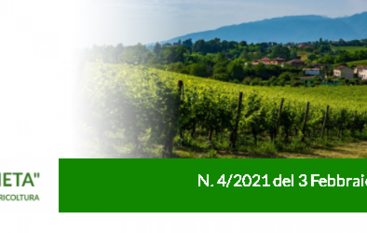 Agricoltura Veneta n. 4 del 03.02.2021
