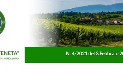 Agricoltura Veneta n. 4 del 03.02.2021
