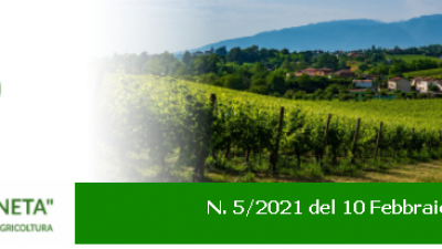 Newsletter Agricoltura Veneto n. 5/2021 del 10 febbraio 2021