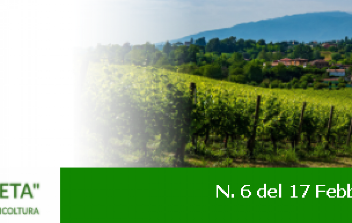 Newsletter Agricoltura Veneta n. 6 del 17 febbraio 2021