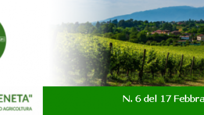 Newsletter Agricoltura Veneta n. 6 del 17 febbraio 2021